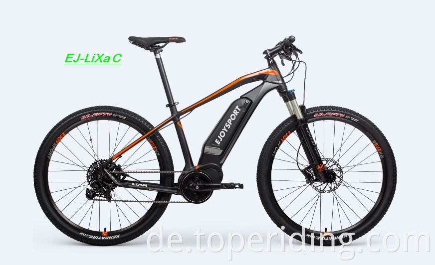 Fat E Bike